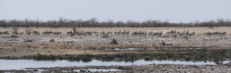NAMIBIA 2017-10-11 0957-Pano-1